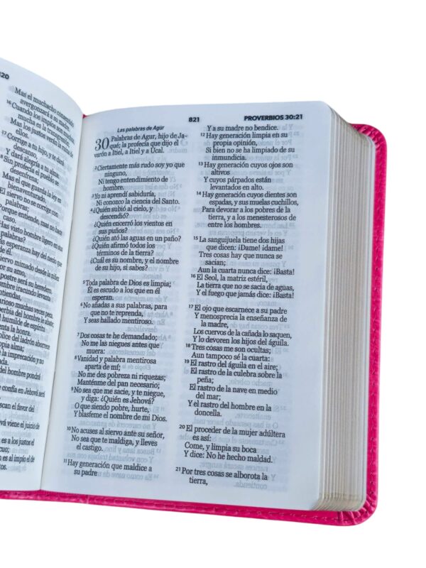 Biblia de Bolsillo RV1960 imit piel fucsia - Image 3