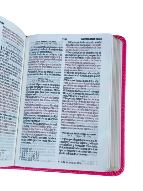 Biblia de Bolsillo RV1960 imit piel fucsia - Image 4