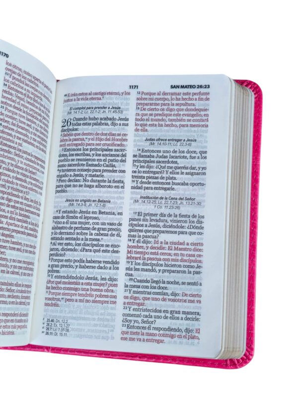 Biblia de Bolsillo RV1960 imit piel fucsia - Image 2