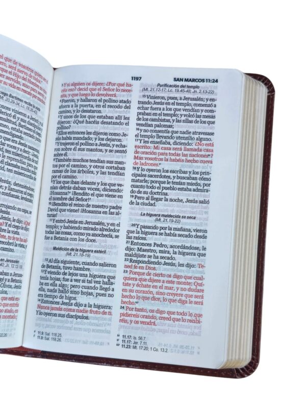 Biblia de tamaño Bolsillo RVR.1960 Imitación Piel cafe - Image 3
