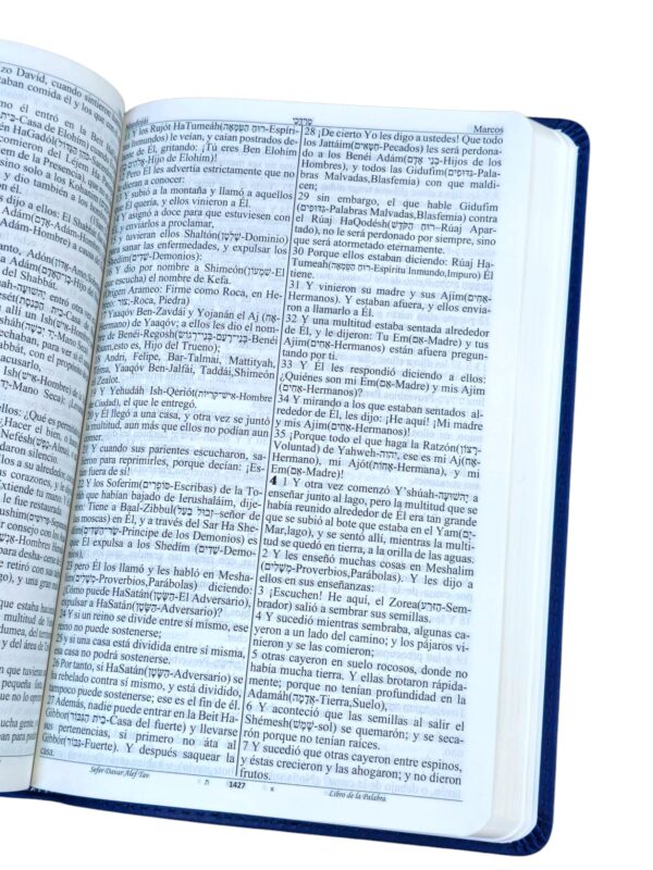 Escrituras Sefer Davar Biblia Edición Español Piel Azul Salmos Español Y Hebreo - Image 3