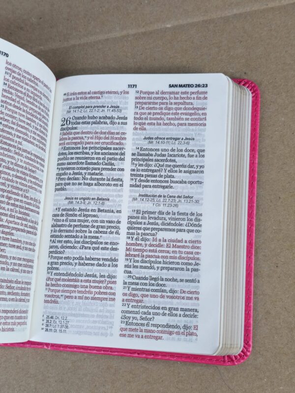 Biblia de Bolsillo RV1960 imit piel fucsia - Image 5