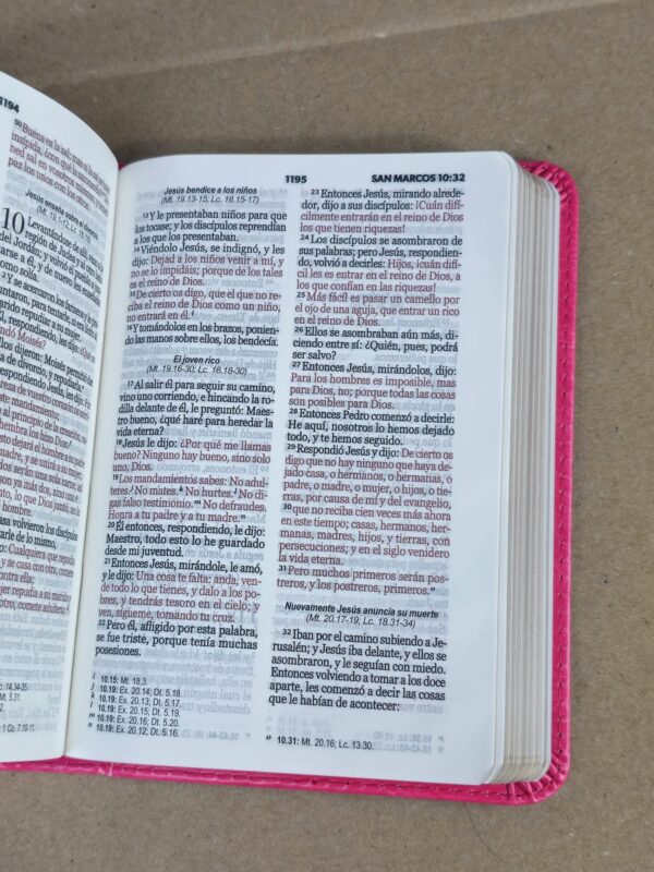 Biblia de Bolsillo RV1960 imit piel fucsia - Image 6