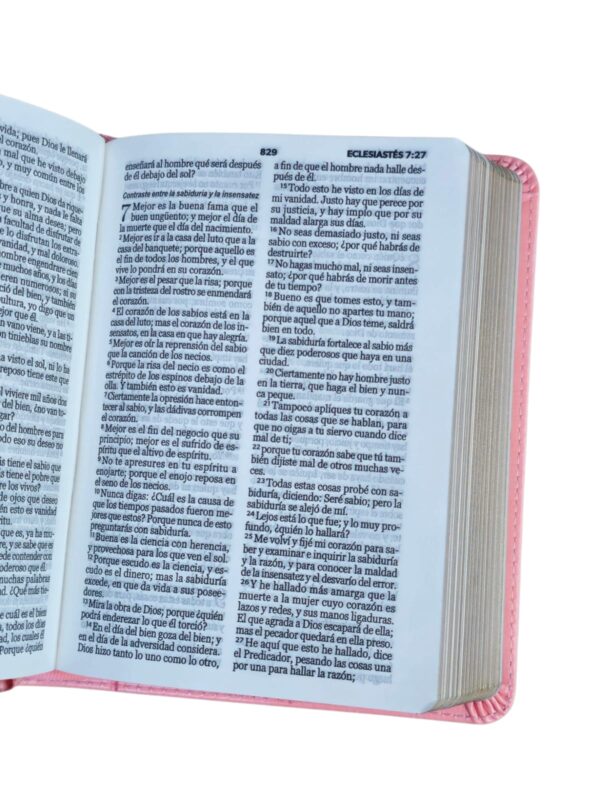 Biblia tamaño Bolsillo Reina-Valera 1960 Imitación Piel rosa - Image 5