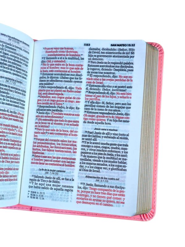 Biblia tamaño Bolsillo Reina-Valera 1960 Imitación Piel rosa - Image 4