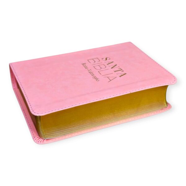 Biblia tamaño Bolsillo Reina-Valera 1960 Imitación Piel rosa - Image 2