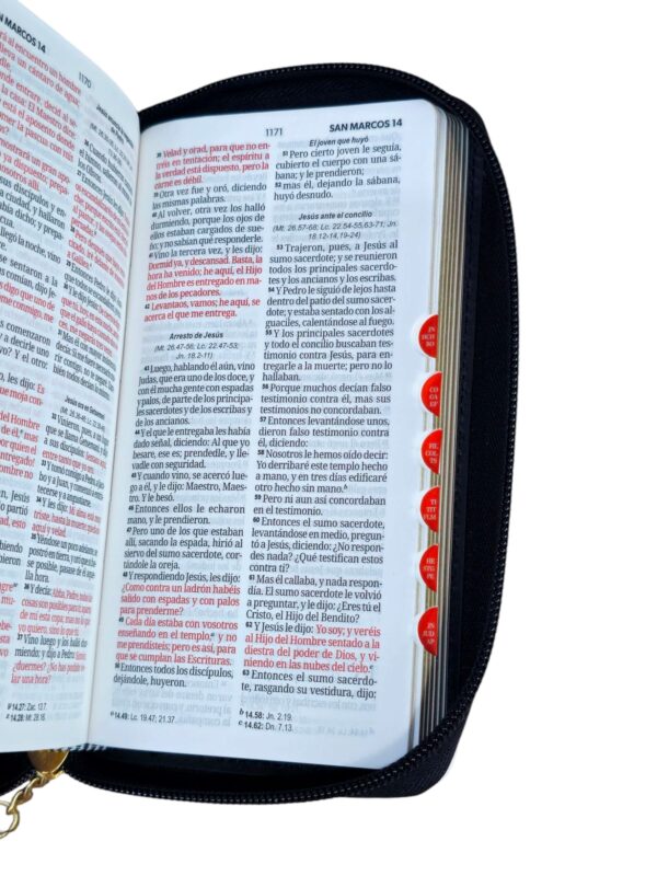 Biblia chequera Letra 8.5 puntos RVR.1960 imit.piel negro/gris indice y cierre - Image 3