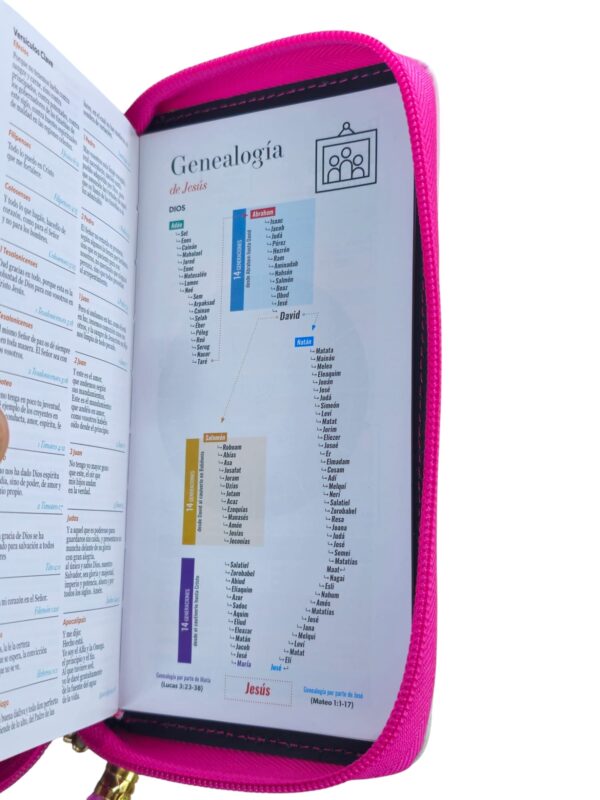 Biblia tamaño chequera letra 8.5 puntos RV1960 Imit.Piel rosa fucsia indice cierre - Image 4