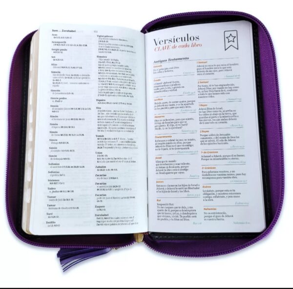 Biblia tamaño chequera RVR.1960 letra 8.5 puntos Imit.Piel Lila cierre con indice - Image 4