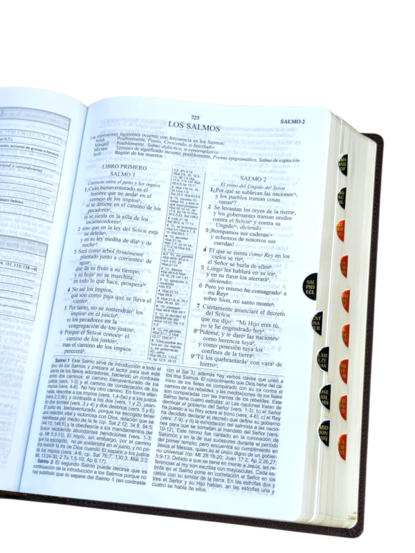 La Biblia DE ESTUDIO DE LAS AMÉRICAS LBLA CAFE LEATHERSOFT COLOR CAFE CON INDICE - Image 4
