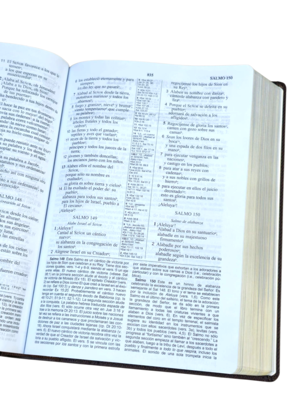 La Biblia DE ESTUDIO DE LAS AMÉRICAS LBLA CAFE LEATHERSOFT COLOR CAFE  (Copy) - Image 3