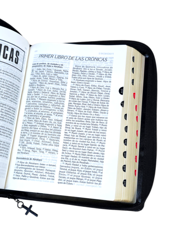 Biblia latinoamerica edición pastoral piel de Lujo letra grande con índice y cierre negro - Image 5