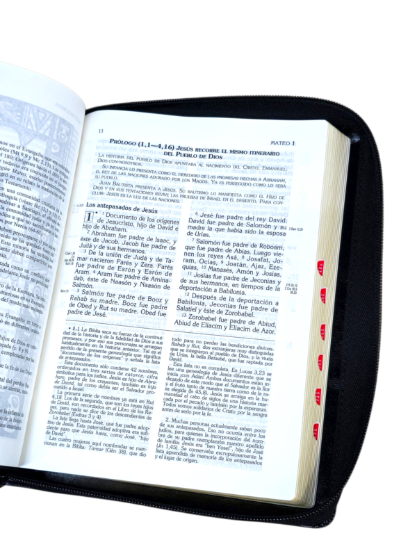 Biblia latinoamerica edición pastoral piel de Lujo letra grande con índice y cierre negro - Image 7