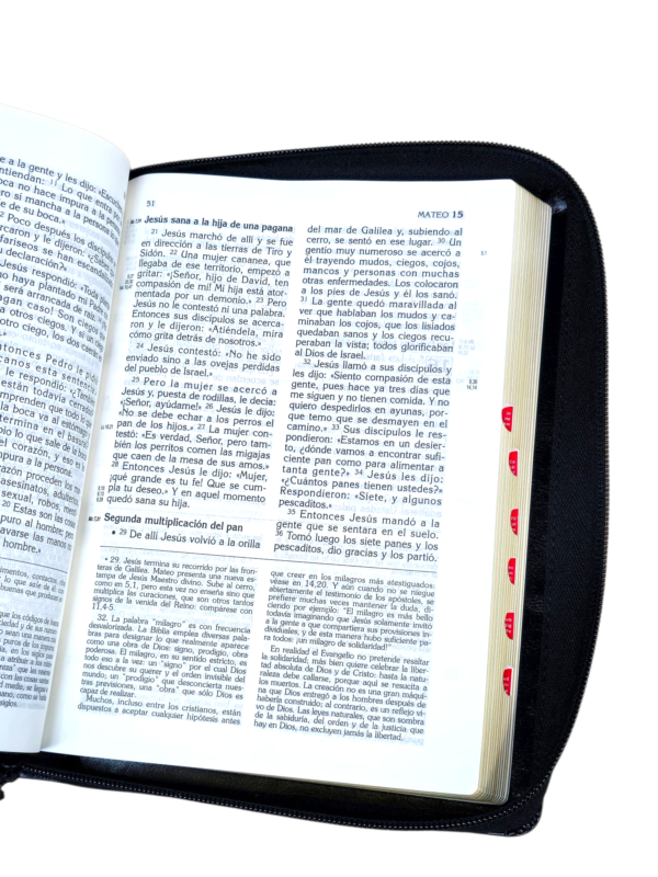 Biblia latinoamerica edición pastoral piel de Lujo letra grande con índice y cierre negro - Image 6