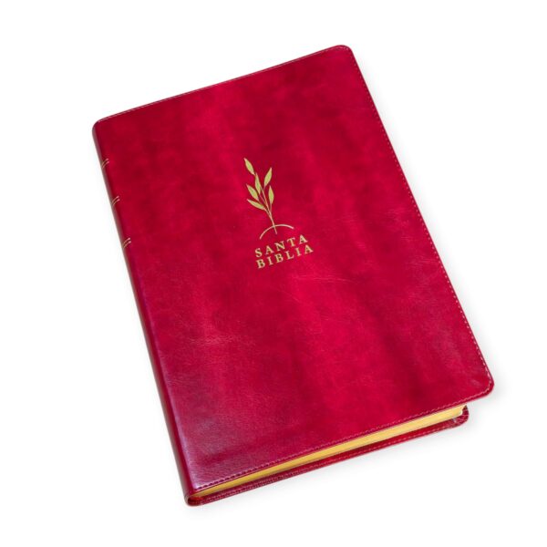 Biblia de estudio del diario vivir RVR.1960 letra grande senti piel color vino tinto con indice - Image 2
