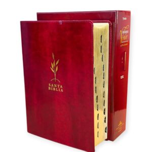 Biblia de estudio del diario vivir RVR.1960 letra grande senti piel color vino tinto con indice