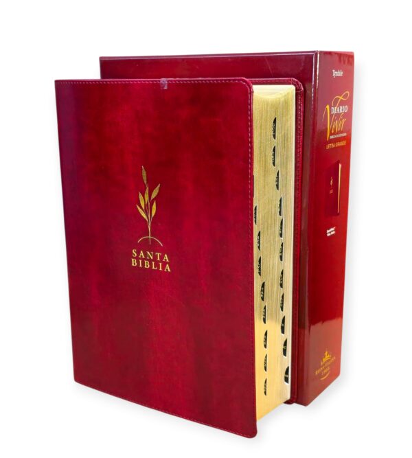 Biblia de estudio del diario vivir RVR.1960 letra grande senti piel color vino tinto con indice