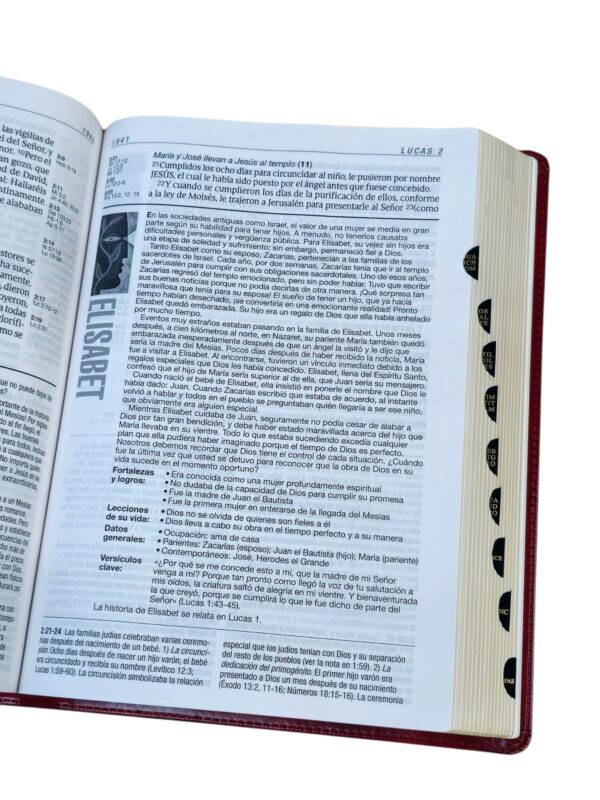 Biblia de estudio del diario vivir RVR.1960 letra grande senti piel color vino tinto con indice - Image 5