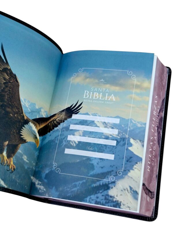 Biblia Letra Súper Gigante 19 Puntos Águila RVR.1960 Imit.Piel Negro - Image 4