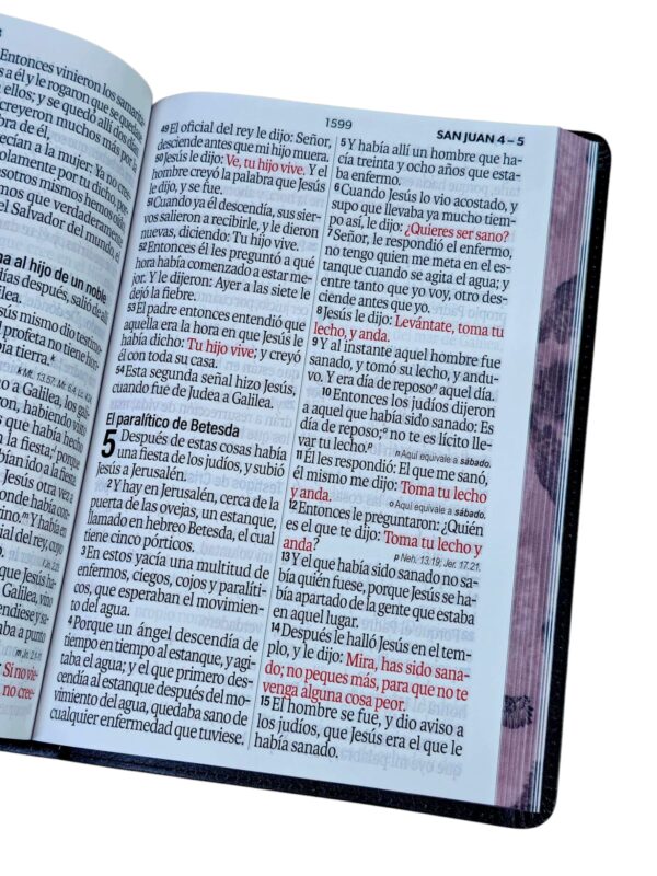 Biblia Letra Súper Gigante 19 Puntos Águila RVR.1960 Imit.Piel Negro - Image 6