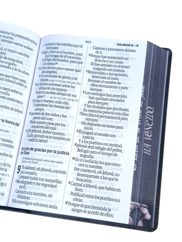 Biblia Letra Súper Gigante 19 punto RV1960 piel negro león Tribu De Juda - Image 6
