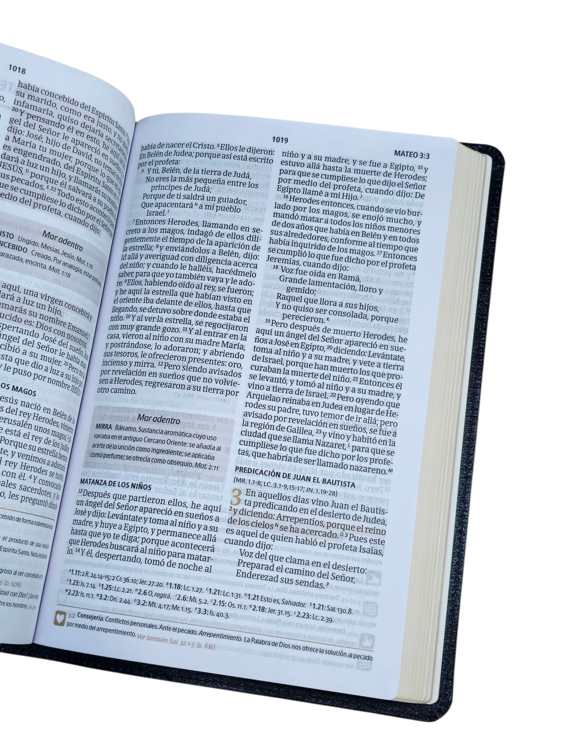 BIBLIA DEL PESCADOR RVR.1960 EDICIÓN LIDERAZGO LETRA GRANDE NEGRO simil piel - Image 3