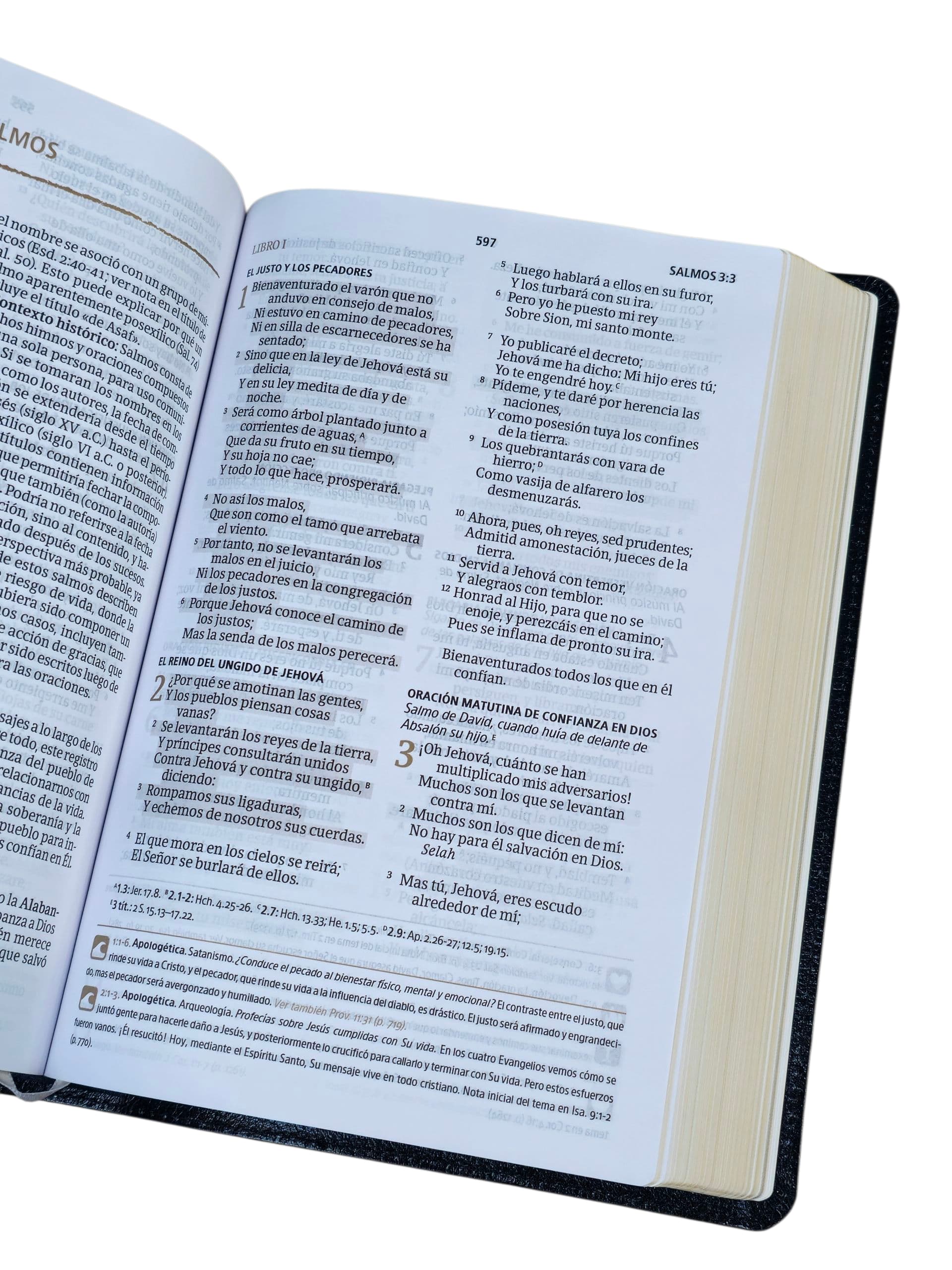 BIBLIA DEL PESCADOR RVR.1960 EDICIÓN LIDERAZGO LETRA GRANDE NEGRO simil piel - Image 4