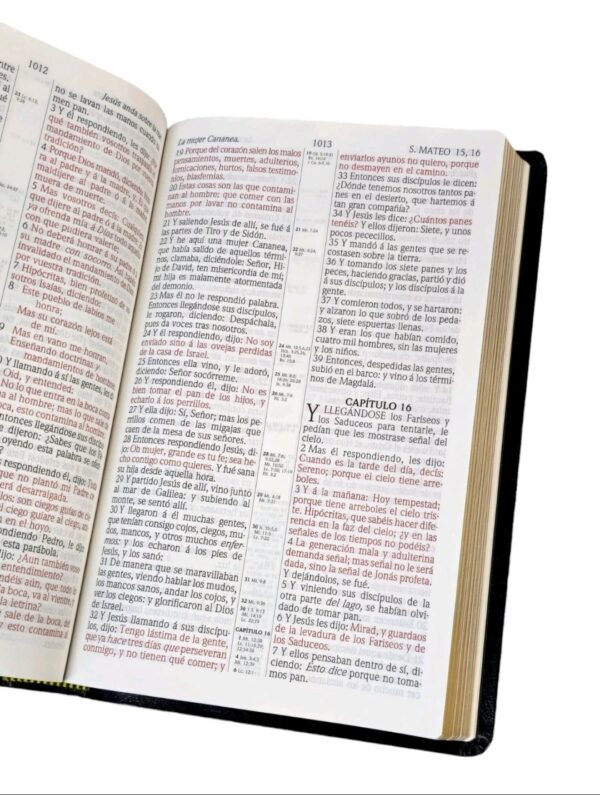 BIBLIA ANTIGUA VERSION REINA VALERA 1909 RVA CLASICA IMITACION PIEL NEGRO - Image 2