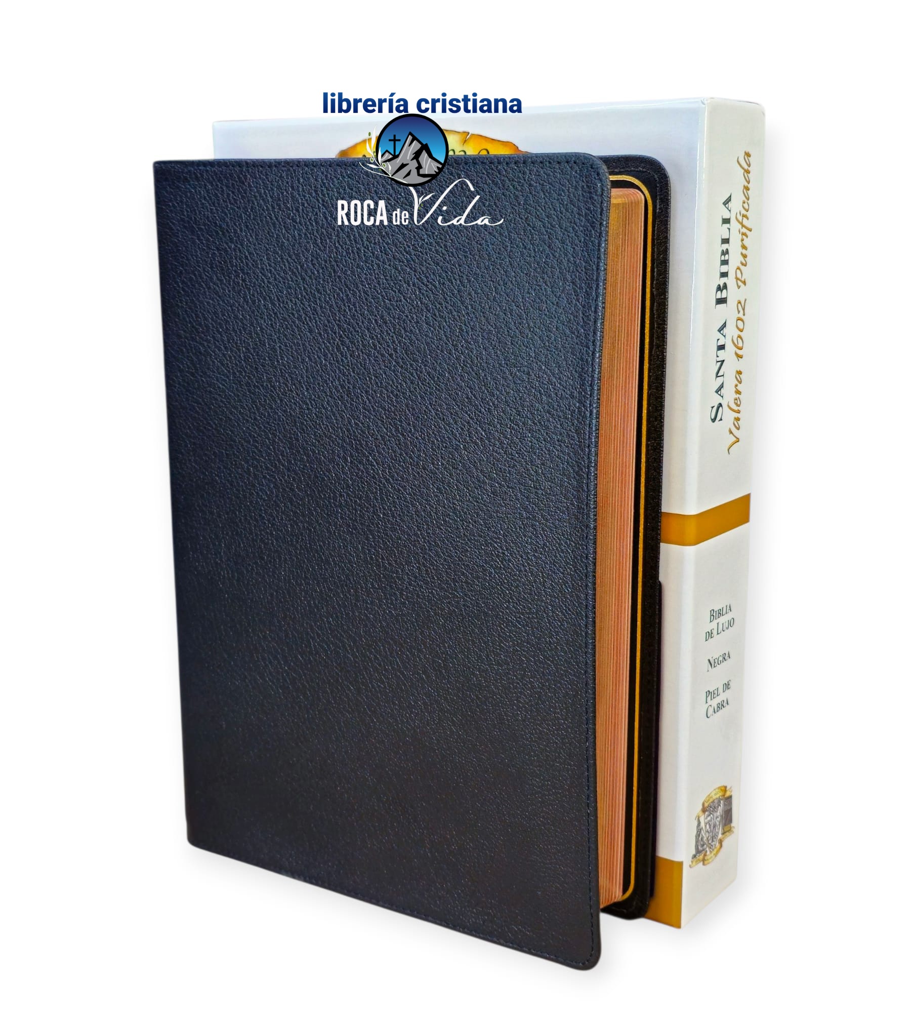 Biblia Reina valera 1602 palabra purificada piel Genuina de cabrá negro