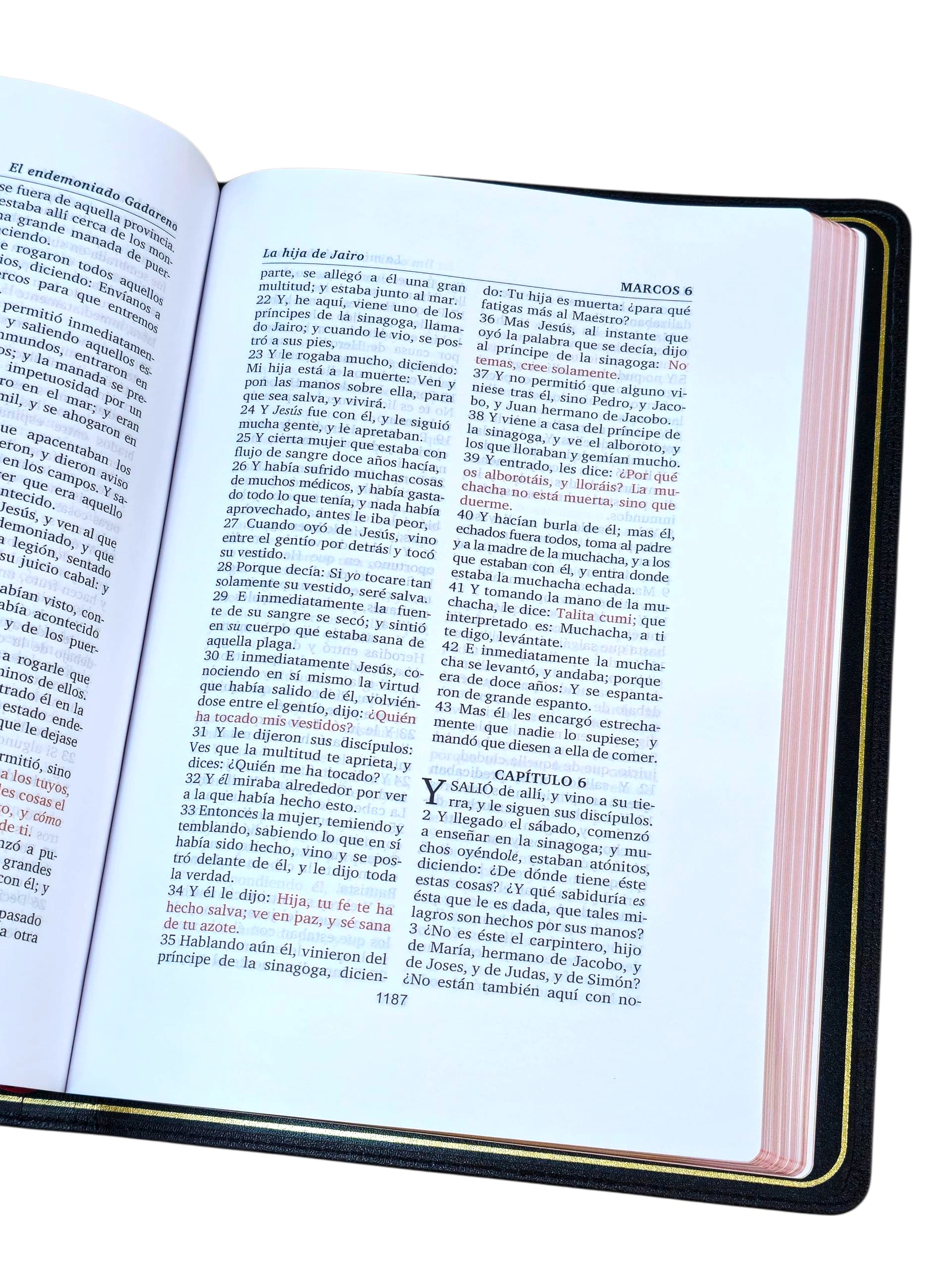 Biblia Reina valera 1602 palabra purificada piel Genuina de cabrá negro - Image 3