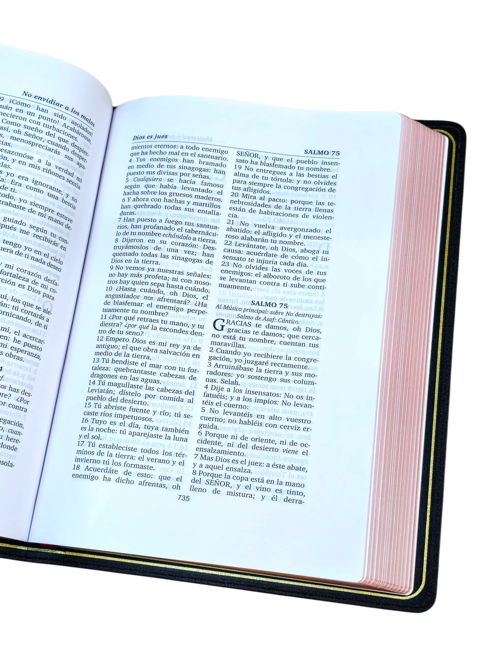 Biblia Reina valera 1602 palabra purificada piel Genuina de cabrá negro - Image 4