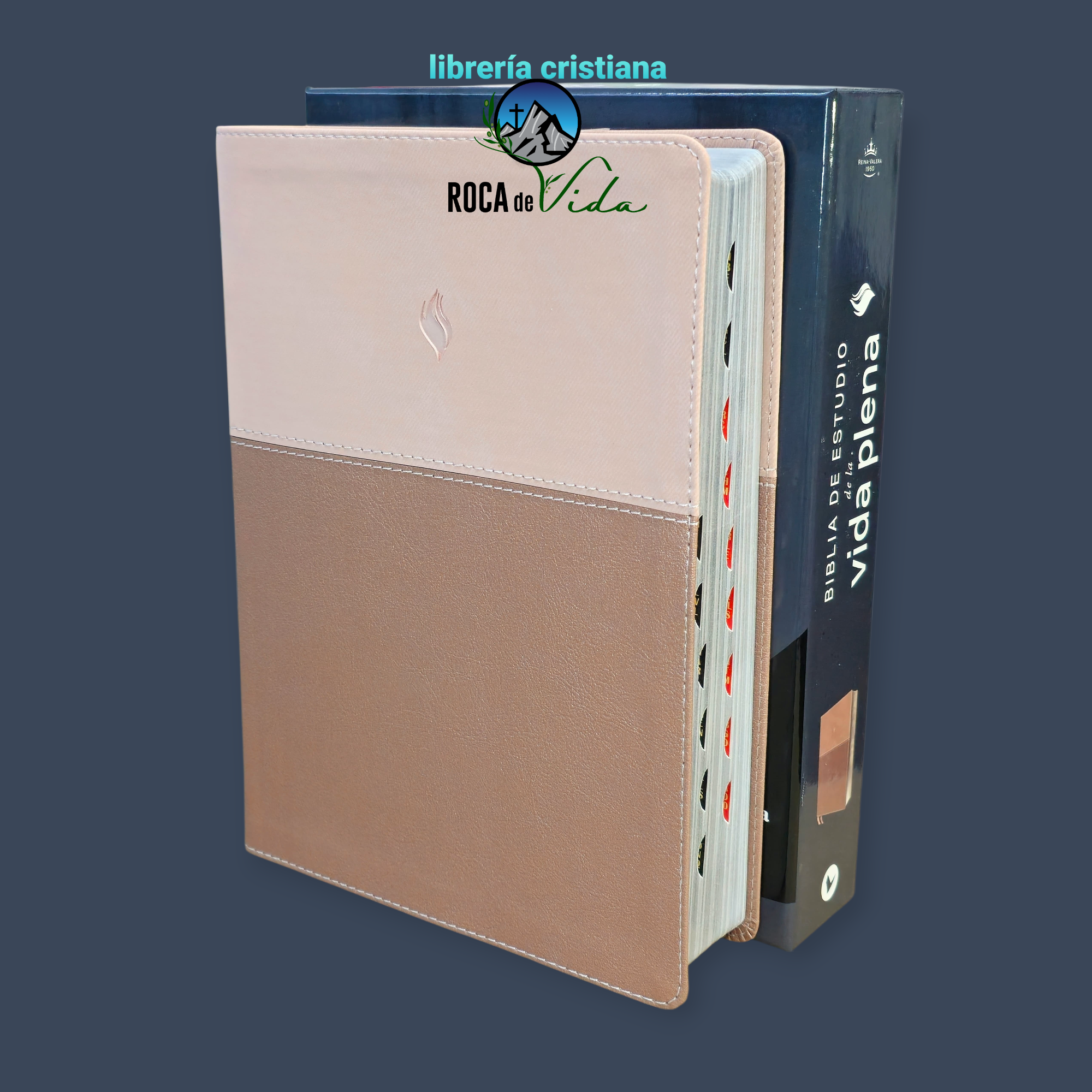 Biblia de Estudio Vida Plena RV1960,para Mujer imit piel , oro Rosa Con Índice