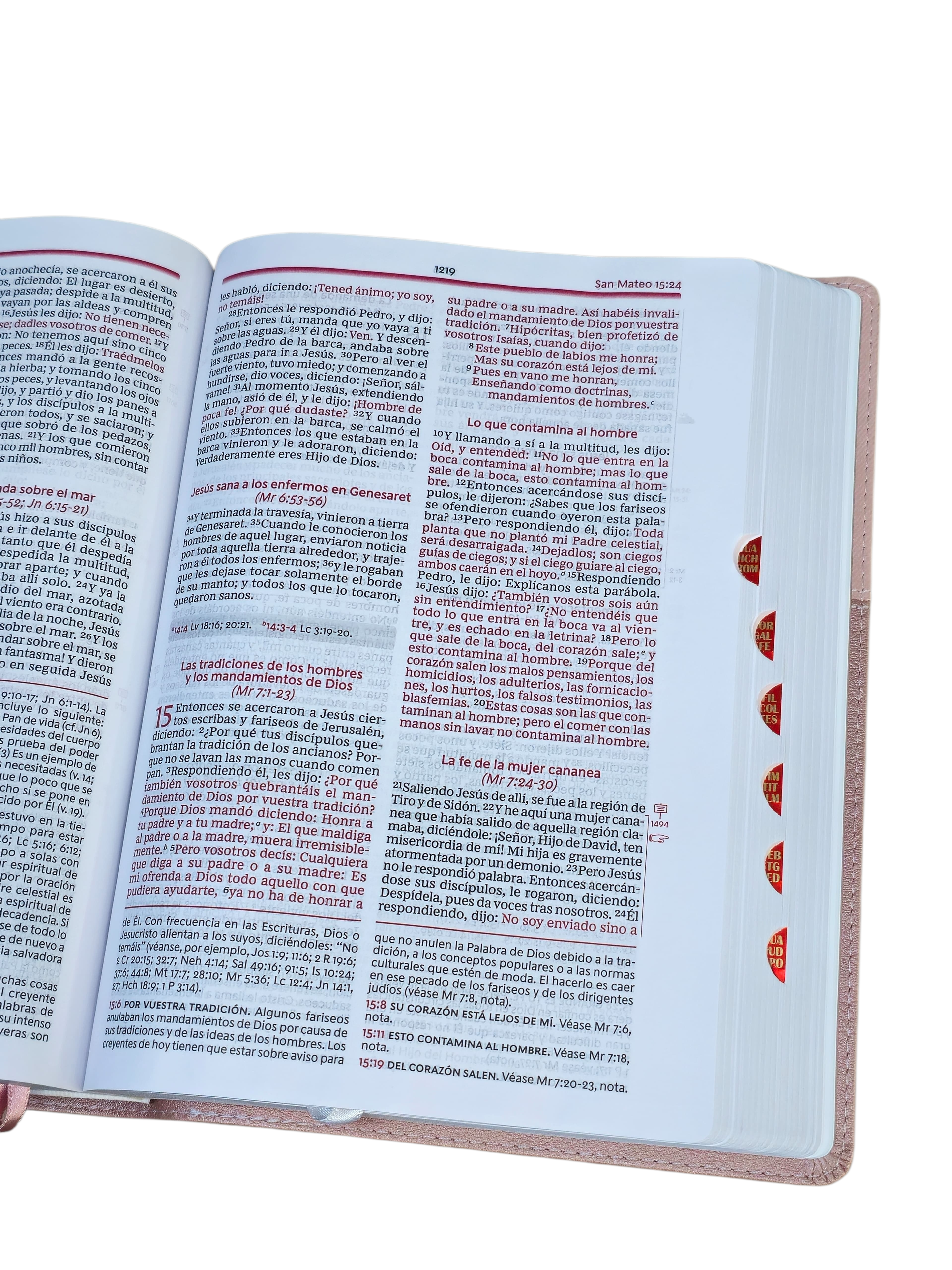 Biblia de Estudio Vida Plena RV1960,para Mujer imit piel , oro Rosa Con Índice - Image 3