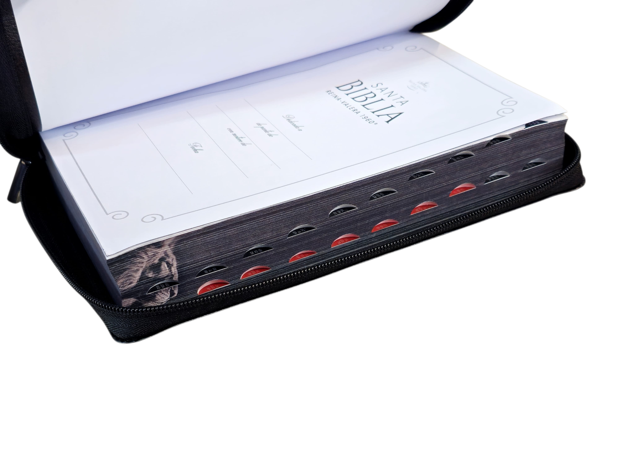 Biblia Letra Súper Gigante 19 punto RV1960 negro león De La Tribu Juda Cierre - Image 4