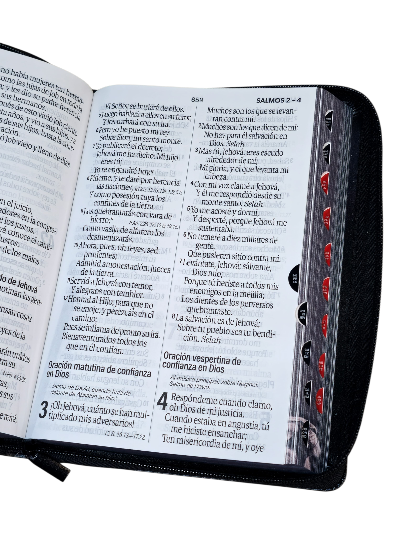 Biblia Letra Súper Gigante 19 punto RV1960 negro león De La Tribu Juda Cierre - Image 6