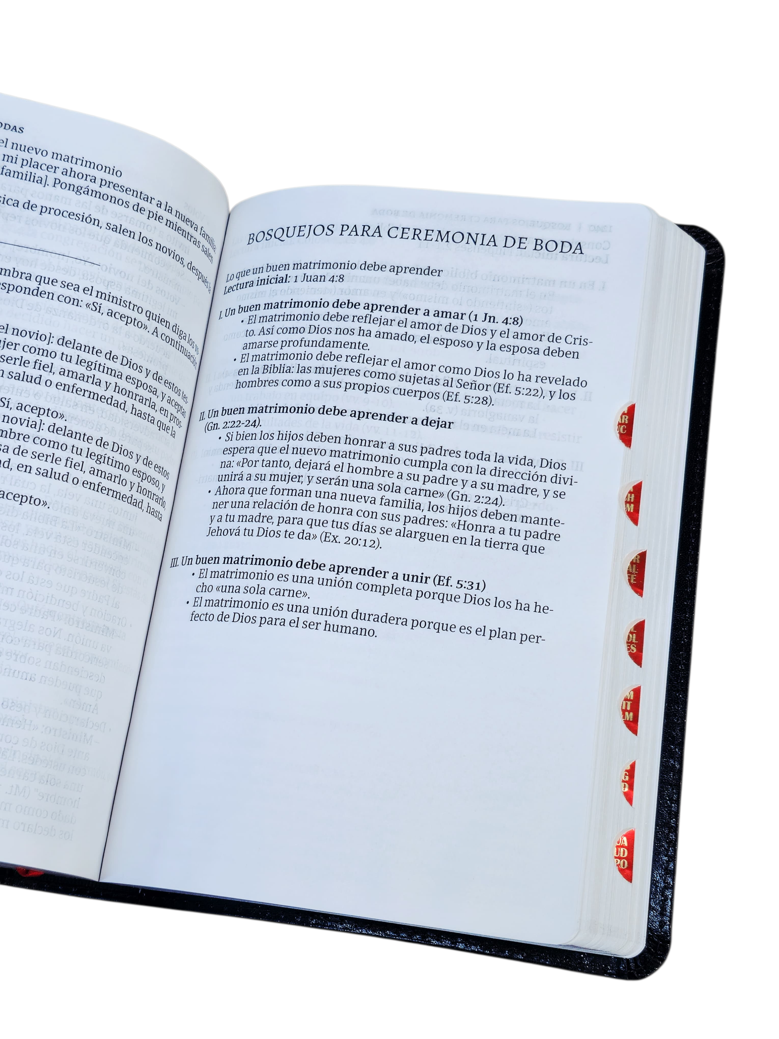 Biblia del Ministro Letra Grande RV1960 Ed. Ampliada, con Manual del Ministro piel fabricada negro con índice - Image 6