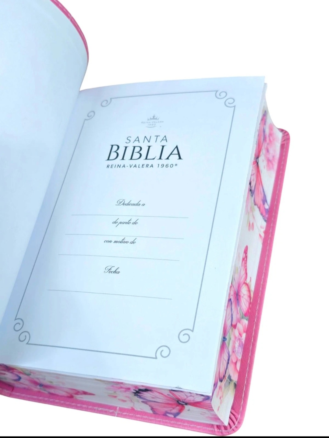 Biblia Portátil RVR.1960 Letra Grande 12 Puntos imitación Piel Rosa Mariposa - Image 3
