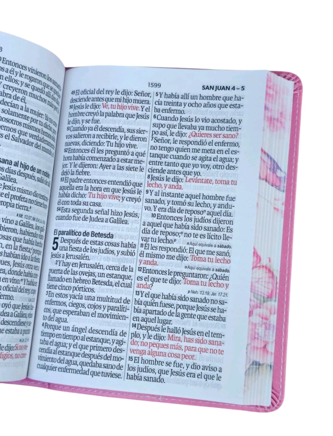 Biblia Portátil RVR.1960 Letra Grande 12 Puntos imitación Piel Rosa Mariposa - Image 4