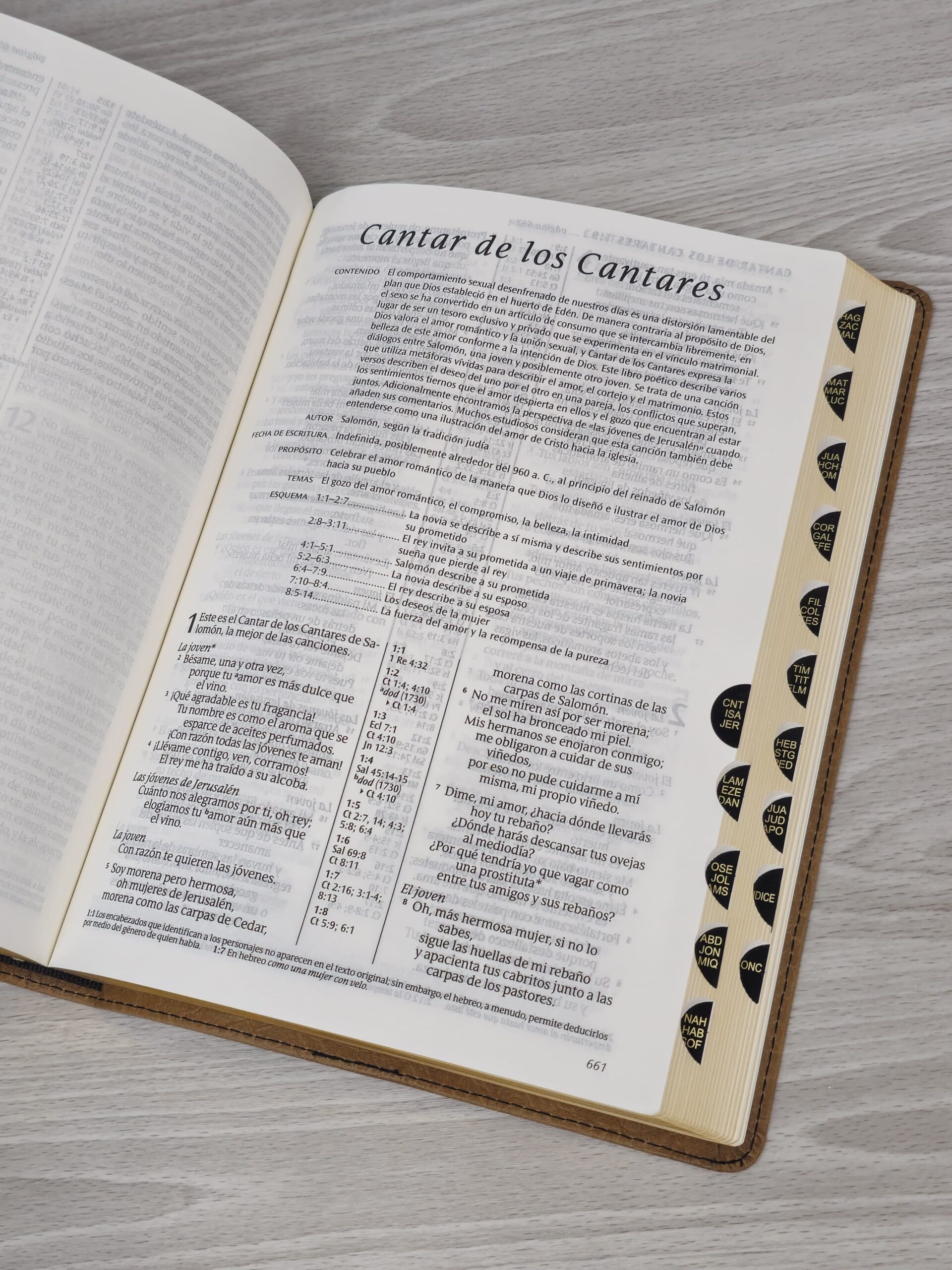 Biblia Letra Grande con Referencias NTV, sentipiel marrón con índice - Image 4