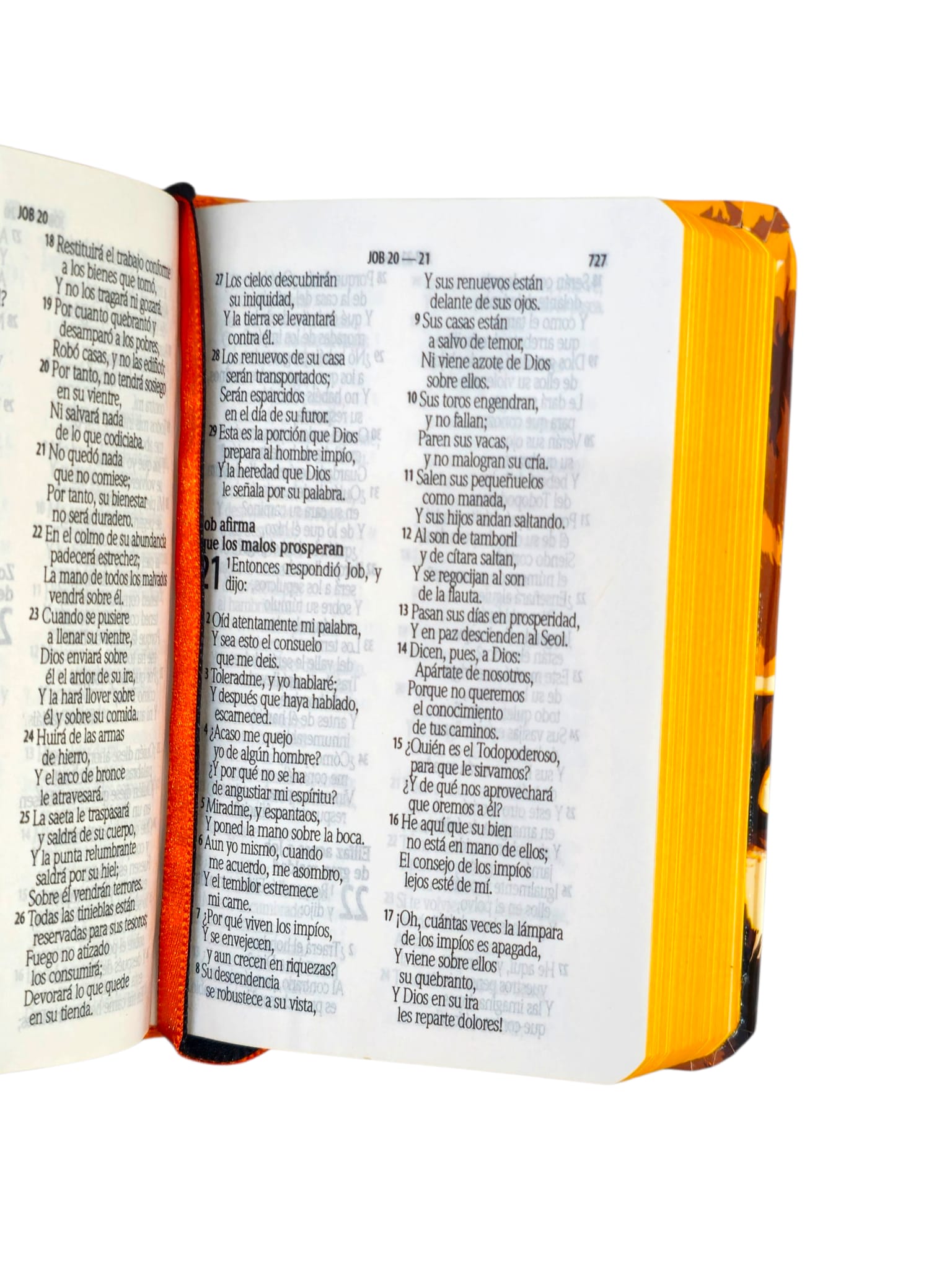 Mini biblia de Bolsillo Reina-Valera 1960 leon de la tribu de juda tapa flexible - Image 4