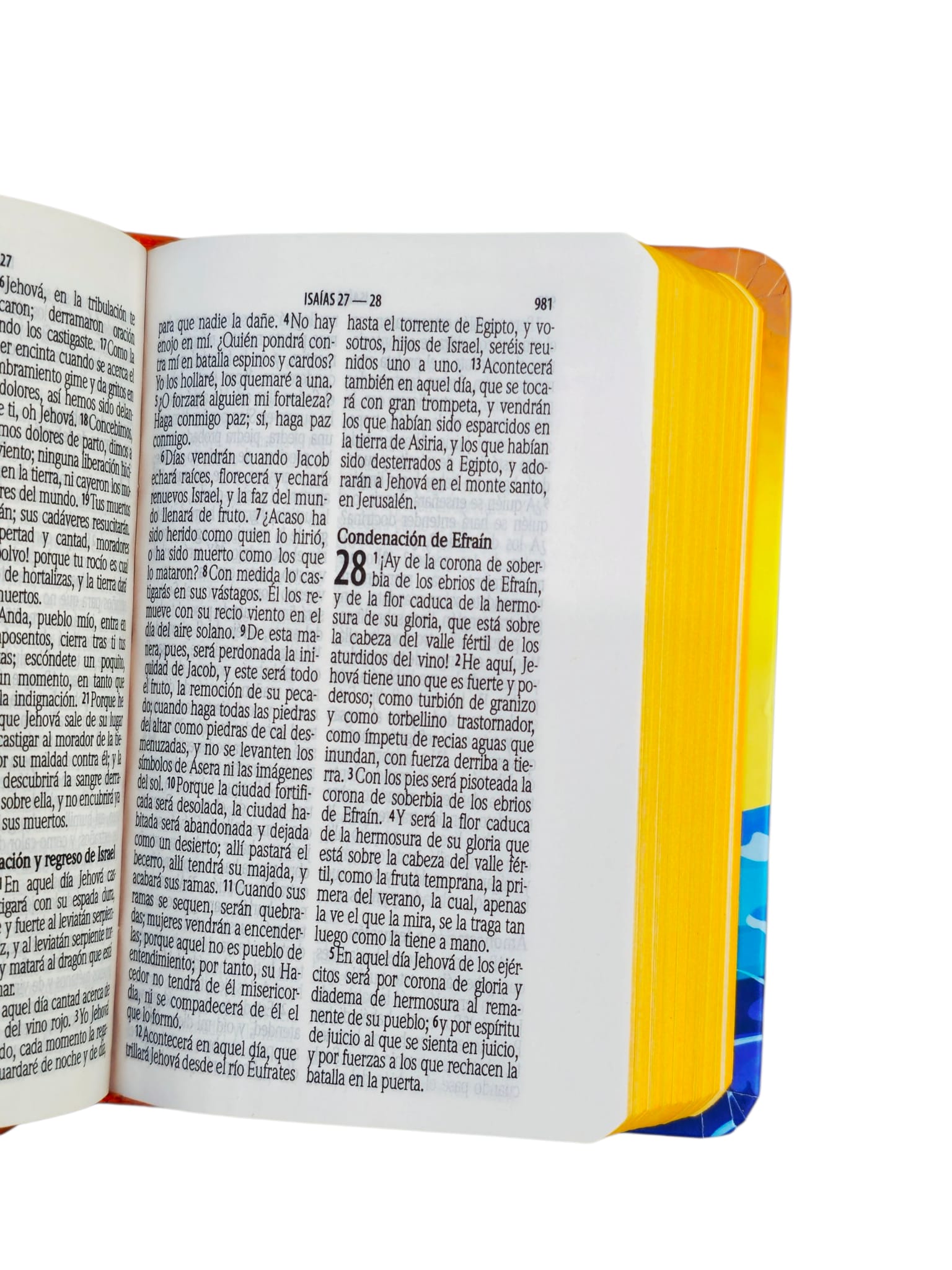 Biblia Mini Bolsillo RV1960, tapa dura - Image 5