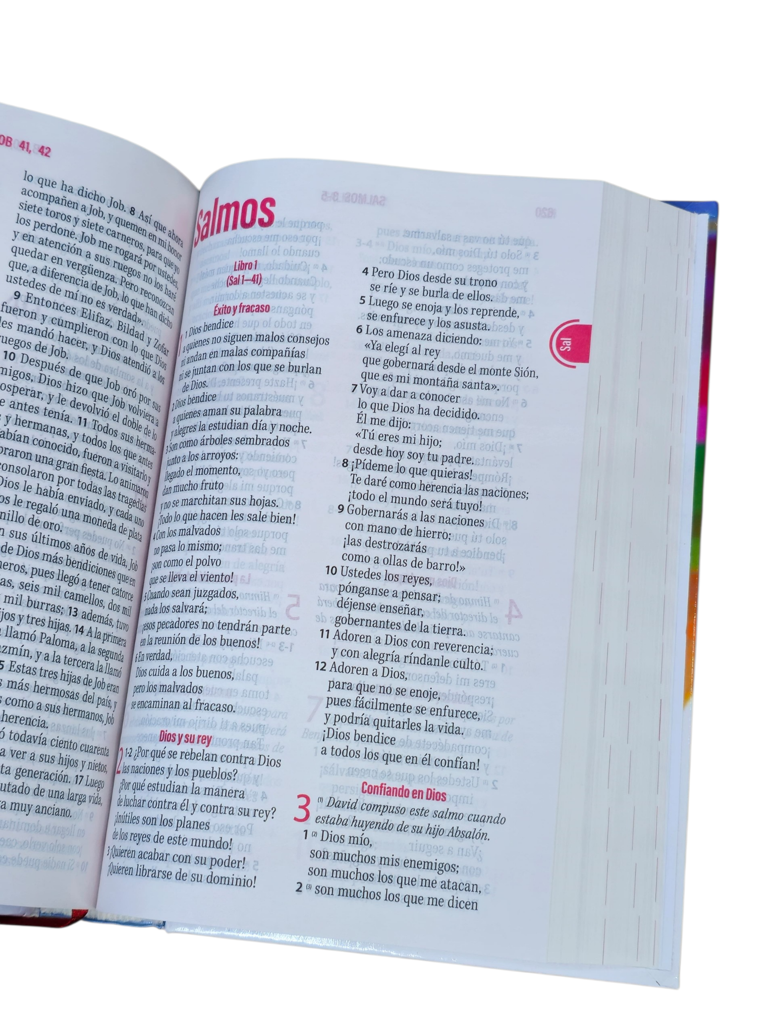 Biblia De Estudio TraducciónLenguaje Actual FamiliasSaludables Tapa Dura - Image 3