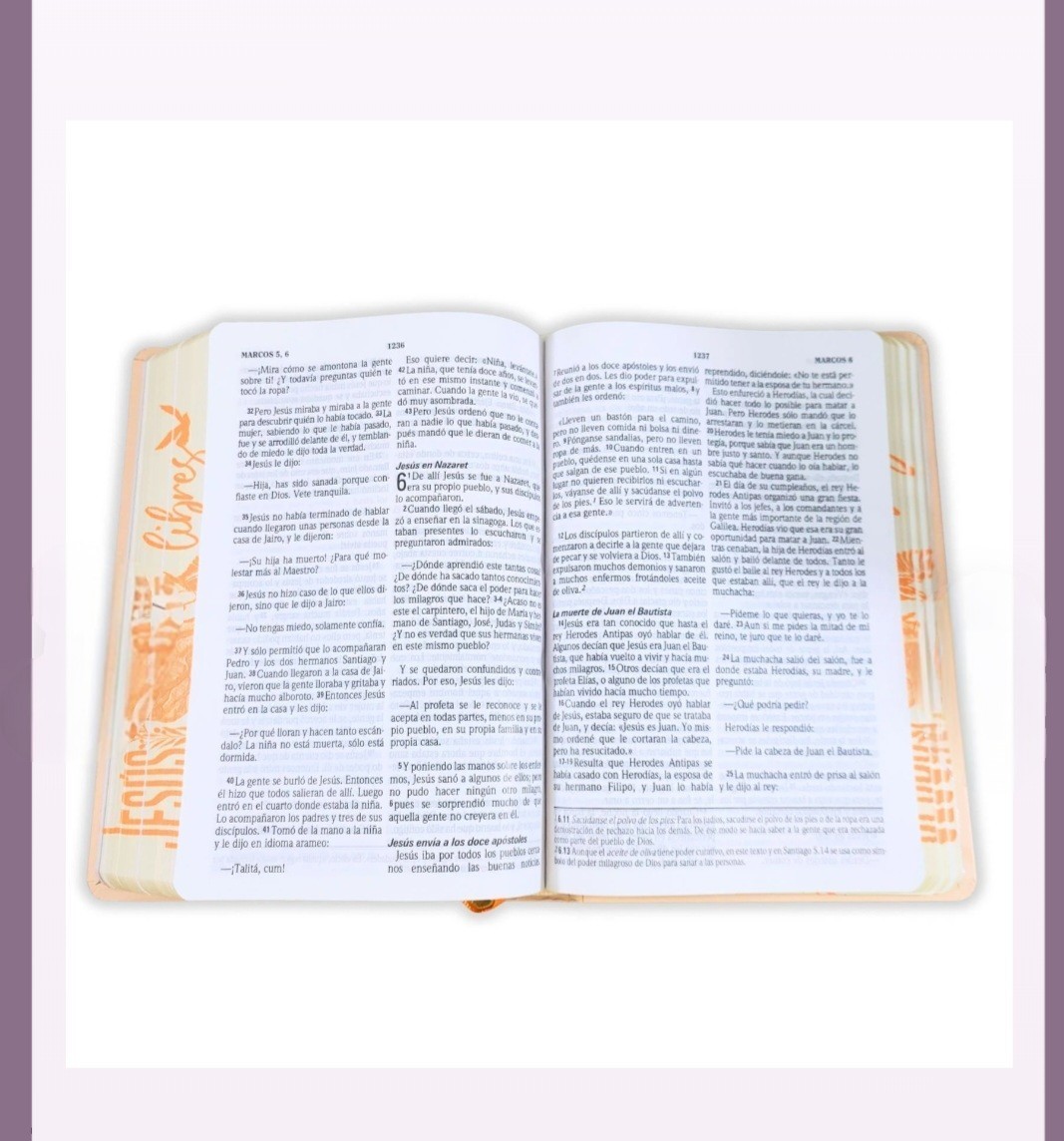 Biblia Letra Grande TLA, tapa dura paloma - Jesús - Image 4