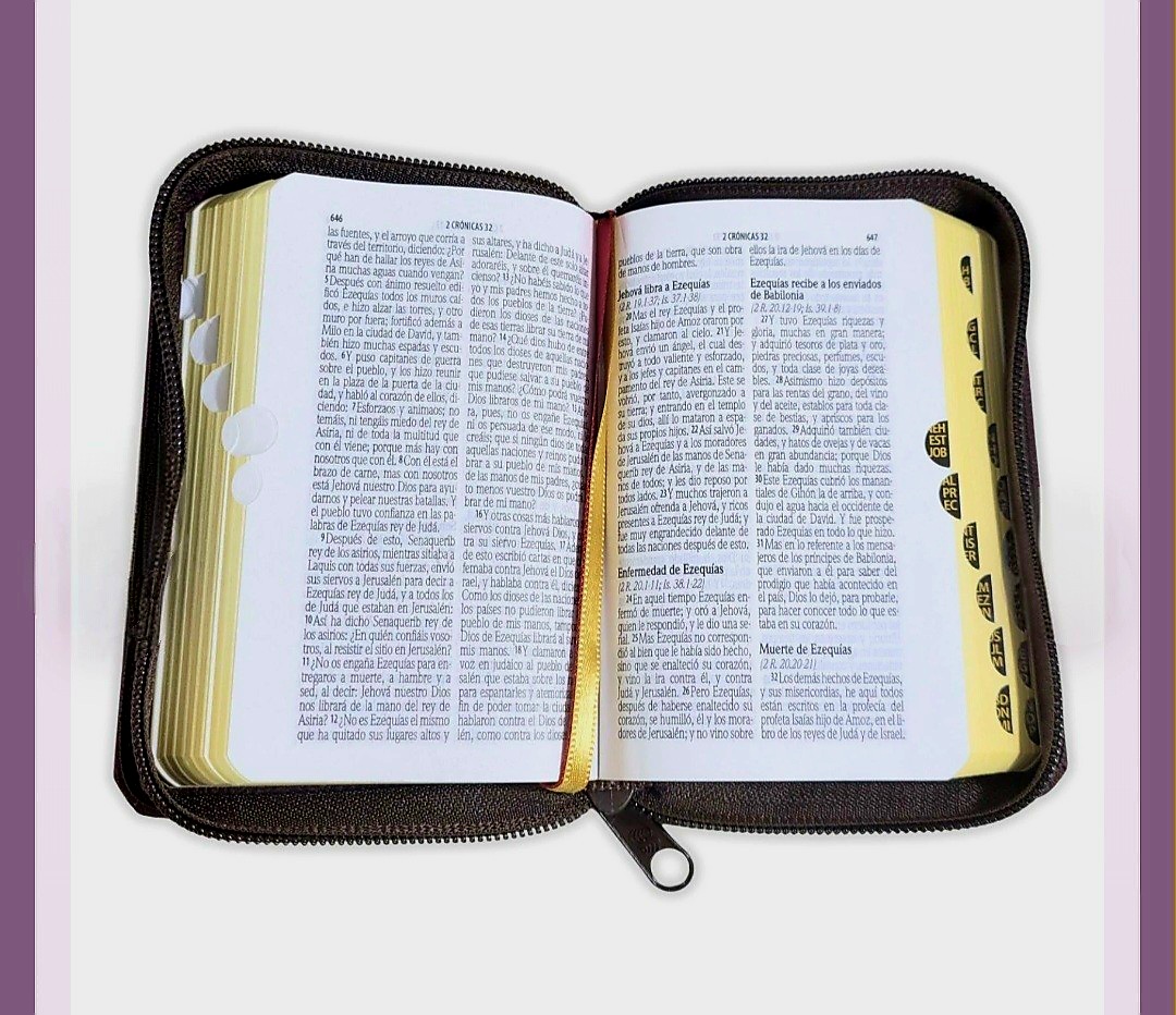 Biblia Mini Bolsillo con Cierre RV1960, imit piel vino con índice - Apocalipsis 2:7 - Image 4
